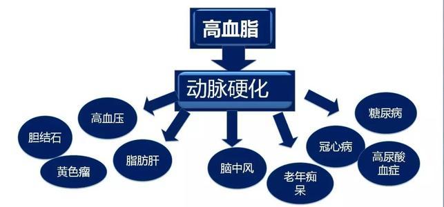 高血脂一般會(huì)產(chǎn)生什么樣的危害呢？高血脂有什么危害？